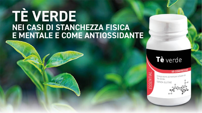 Immagine news NOVITÀ: TÈ VERDE