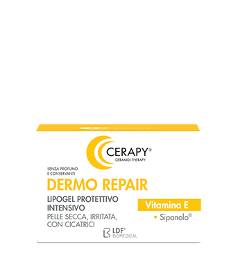 CERAPY DERMO REPAIR 50G