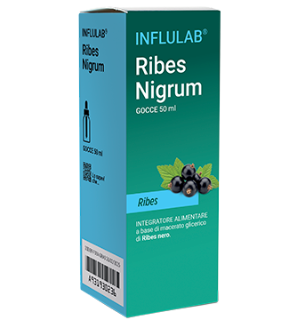 Ribes Nigrum - 50 ml