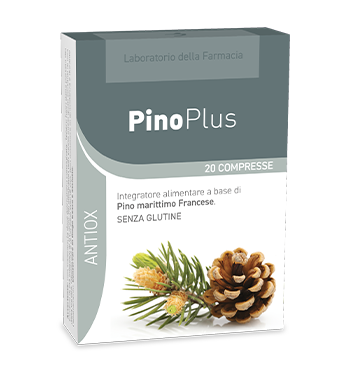 PinoPlus