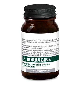 Borragine